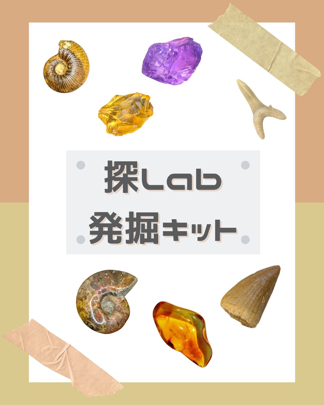 発掘キットのTOP画像