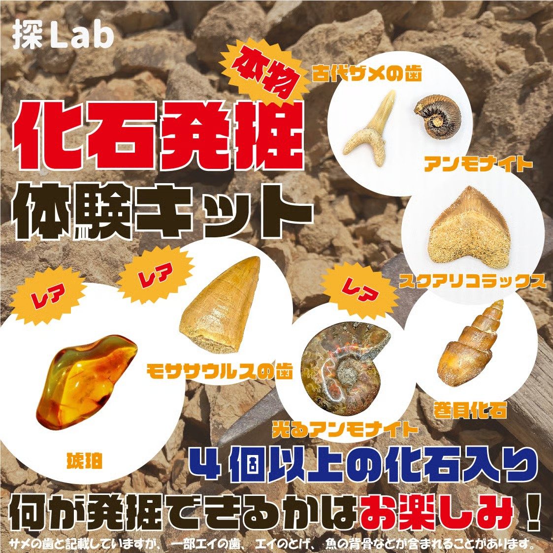 化石発掘バラエティーキットパッケージ