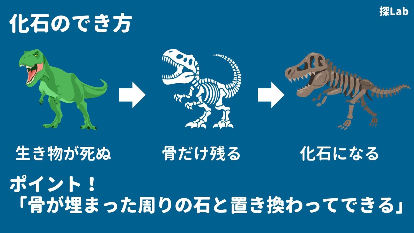化石のでき方