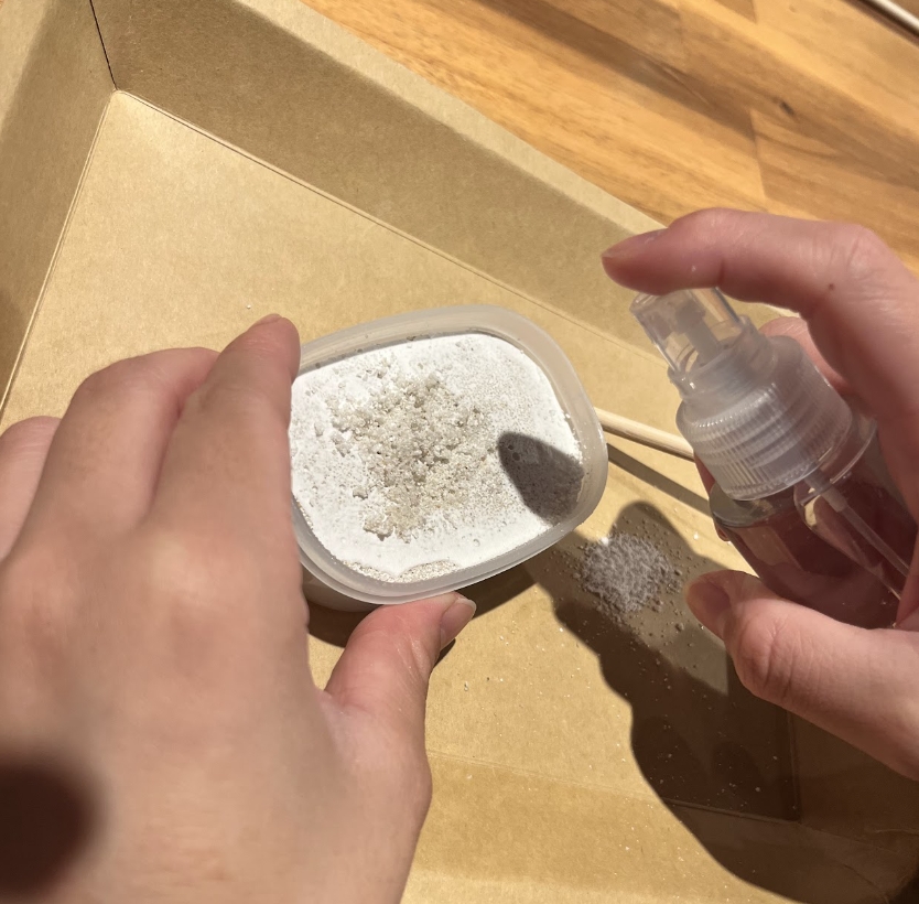 石膏岩に霧吹きを吹く様子