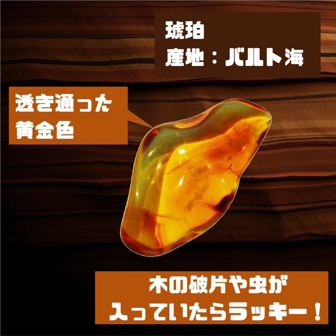 黄金色に輝く琥珀化石