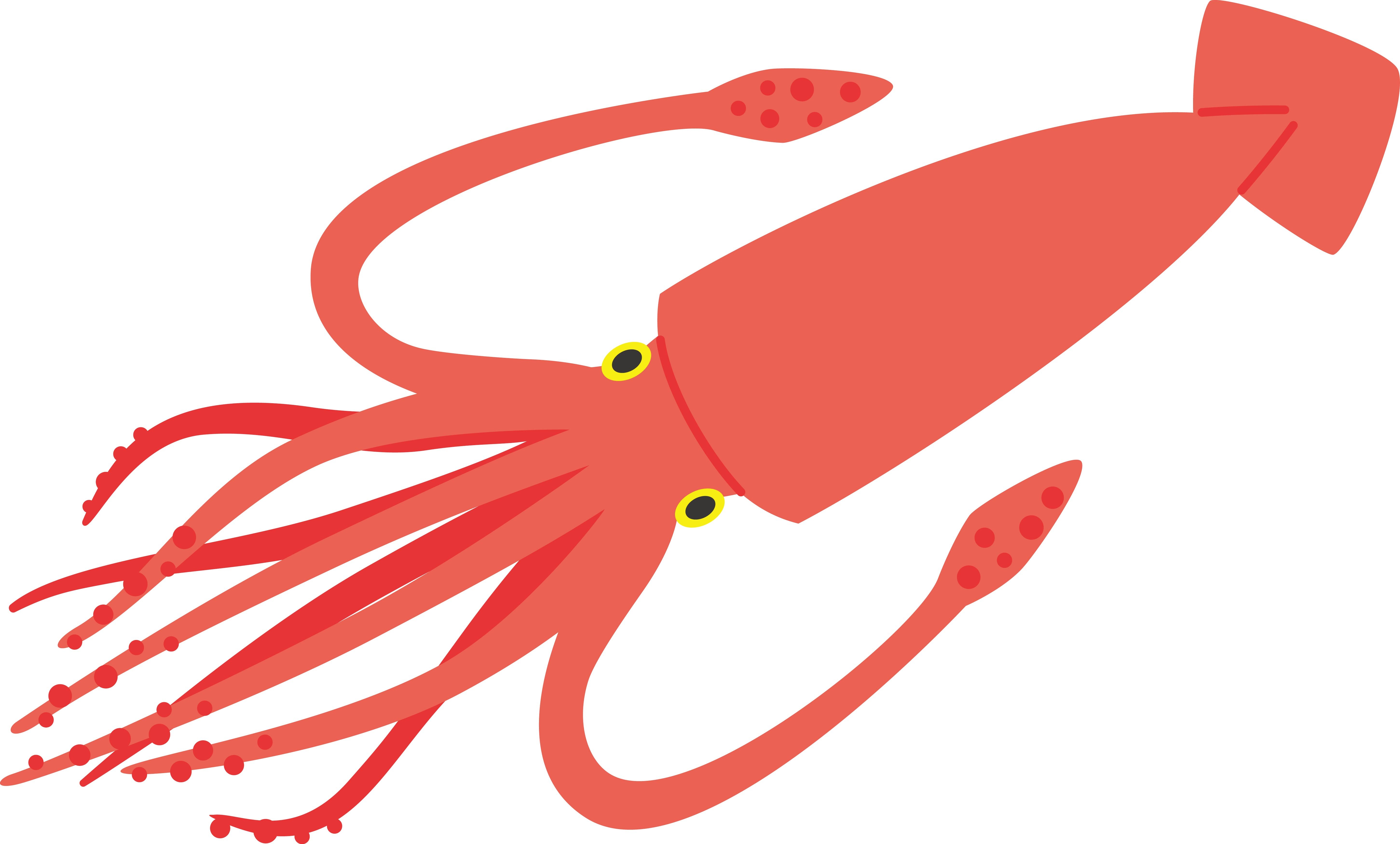 ダイオウイカのイラスト