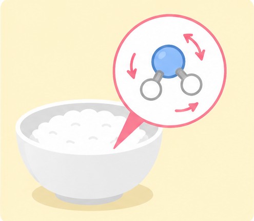 ご飯と水分子