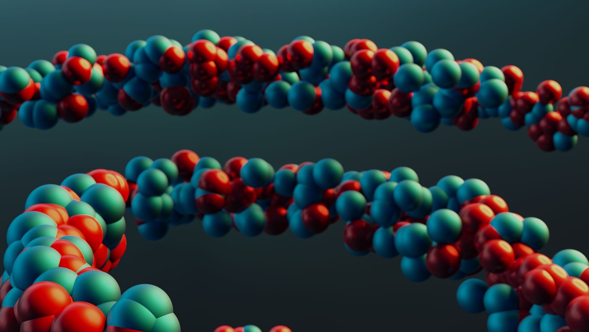 DNA分子の構造