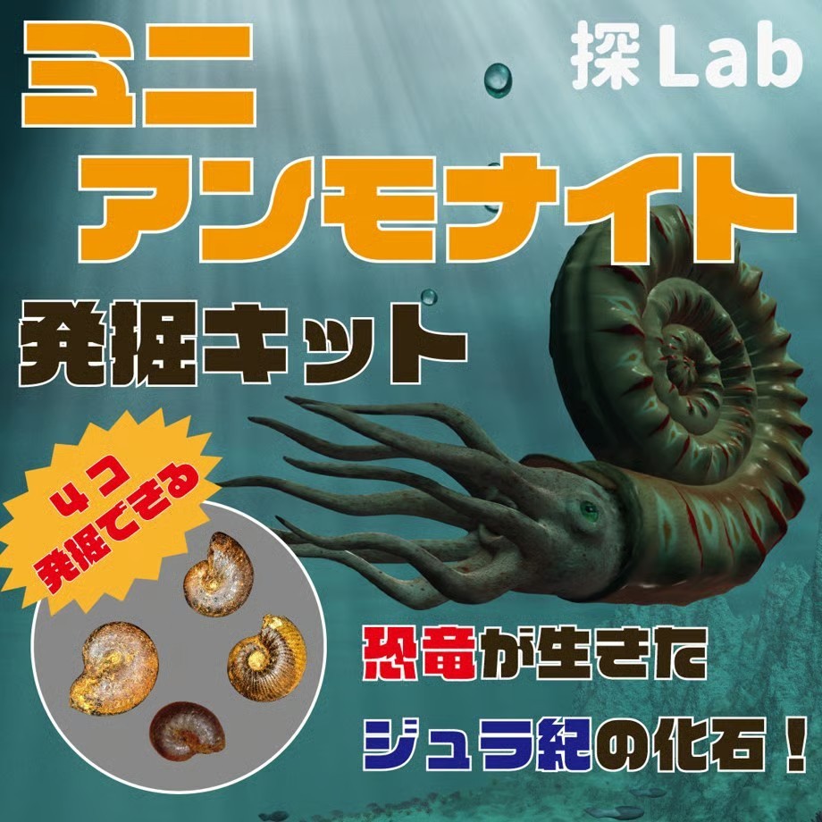 ミニアンモナイト発掘キット