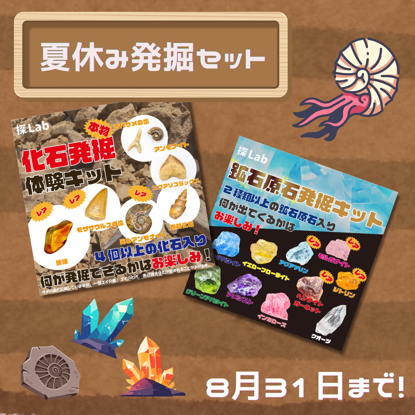 夏休み発掘セット