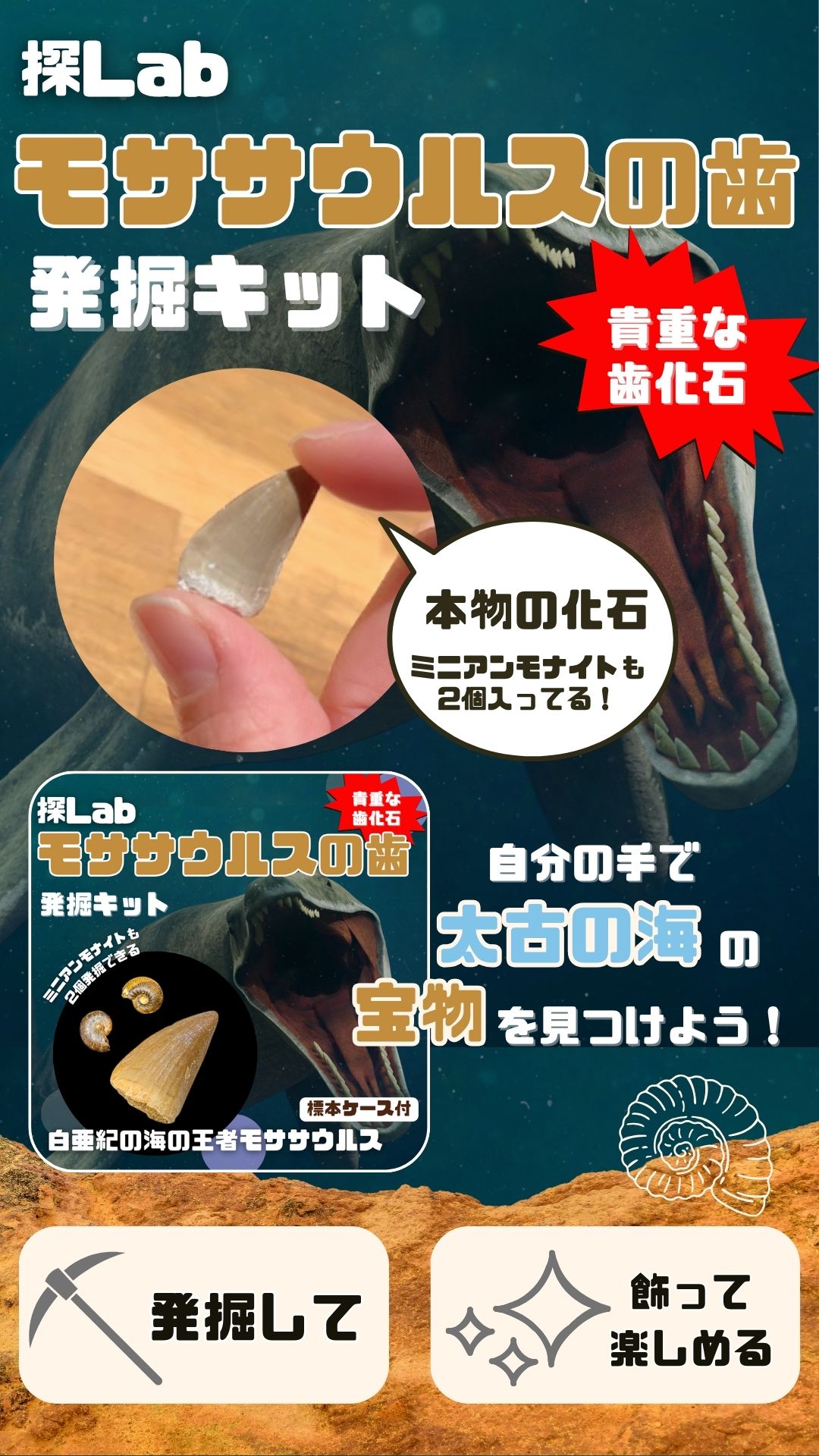 モササウルスの歯発掘キット広告ビジュアル
